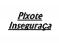 pixote (insegurança).FLV