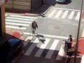 3 gitanos, la cabra, la escalera y el organillo.