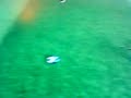 fifa 08 essien goal
