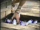 reducing underage drinking through education = r.u.d.e. ydi commercial