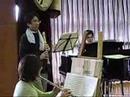 Telemann Tafelmusik II Andante and Vicace