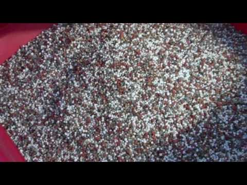 how to fertilize food plots