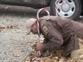 videos de Cedar Bluff State Park Holiday Lights