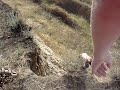MOV03002
