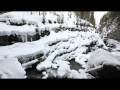 Video ansehen