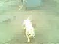 Wideo003