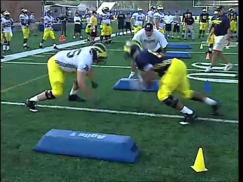University Of Michigan Football