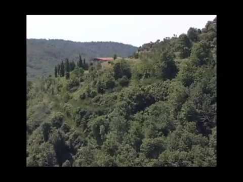 Un modo particolare di fare volontariato