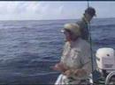 Dolphin fishing on fly Dolphin fishing on fly