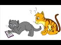 Cinderheart's Diary