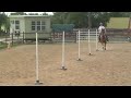 Equestrian Speed Event Training : Equestrian Event Training: Adding Pole Bending Speed
