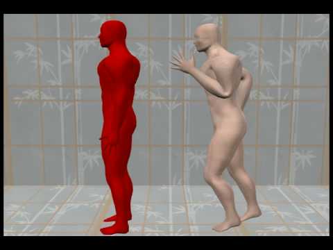 how to properly align your body