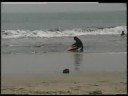 anyer 2 home vids