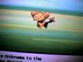 Shiny Shinx Encounter With Poke Radar Shiny Shinx Encounter With Poke Radar