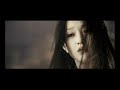 Jane-Zhang-Painted-H