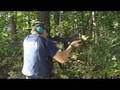 Second Amendment/Right To Arms - Militia of Washington Count