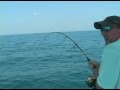 40 LB BARACUDA JUMPS INTO FISHING BOAT ...