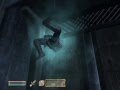 Oblivion- Guard Stuck In Wall And Guard Having A Seisure