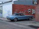 Mustang
