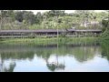 River Safari - Asia' First and Only River Themed ...