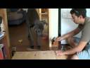 How to entertain an easily amused Great Dane