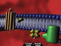 G Protein Receptor Take II