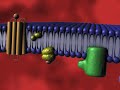 G Protein Receptor Take II