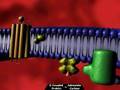 G Protein Receptor Take II