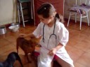 veterinaria madureira- est�gio da mary