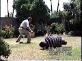 Tai Chi Fajin