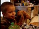 Liam and the turkey leg Liam and the turkey leg