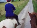 Eckoh out for hack
