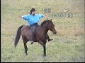 Stunt riding, horseback with Marion Weisskopff Stunt riding, horseback with Marion Weisskopff