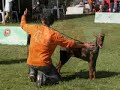 Dobermann - Lisboa 2007/Domingo