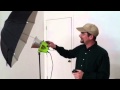 Alien Bee + Radio Popper = happy Rich