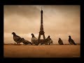 Bird Island Bird Island
