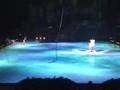tarzan, disney, ice show