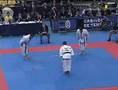 Shotokan Gankaku Bunkai Equipo de Italia