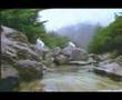 Taekwondo Federation Promo