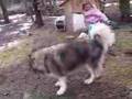 1/07/08 PUPPIES W/KYARA&BUSTER 