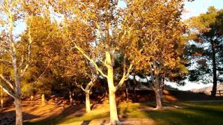 The Light Beings ~ Breathe in the Light