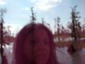 videos de Lake Salvador, Louisiana Bayou