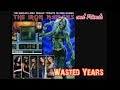 Iron Maidens & Friends Wasted Years