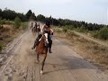 racen met paarden racen met paarden