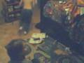 videos de GIRL SCOUTS.wmv