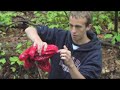 Water Purification 101 Water Purification 101