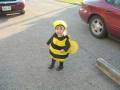 videos de halloween - kira as a bee