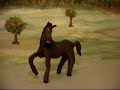 Boy Meets Horse - Private video