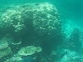 Maldives Underwater Reef