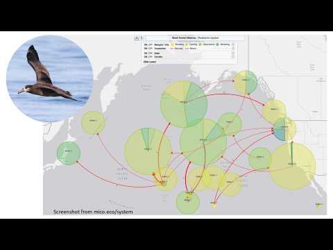 <p>Global- to local-scale seabird connectivity for understanding ecology and improving conservation outcomes.</p>
 video thumbnail